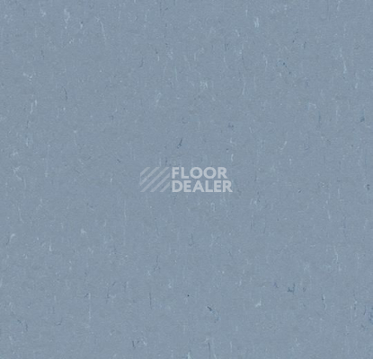 Линолеум Forbo Marmoleum Solid Piano 3642-364235 periwinkle фото 1 | FLOORDEALER